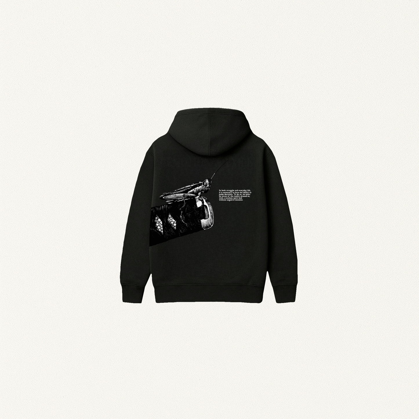 Hoodie ( Kensei, el Santo Espada )