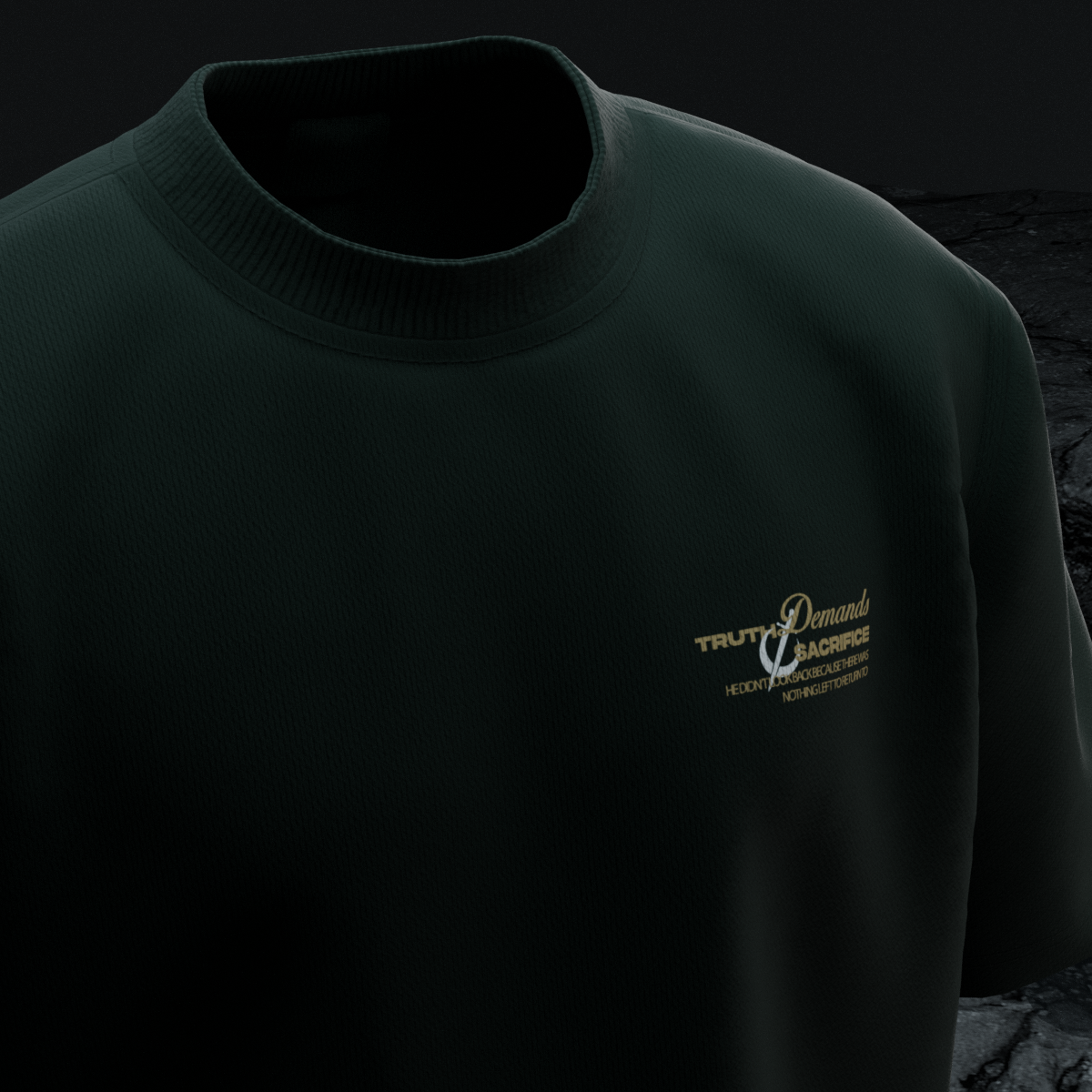 Camiseta (THE RIDER OF THE LAST HORIZON)