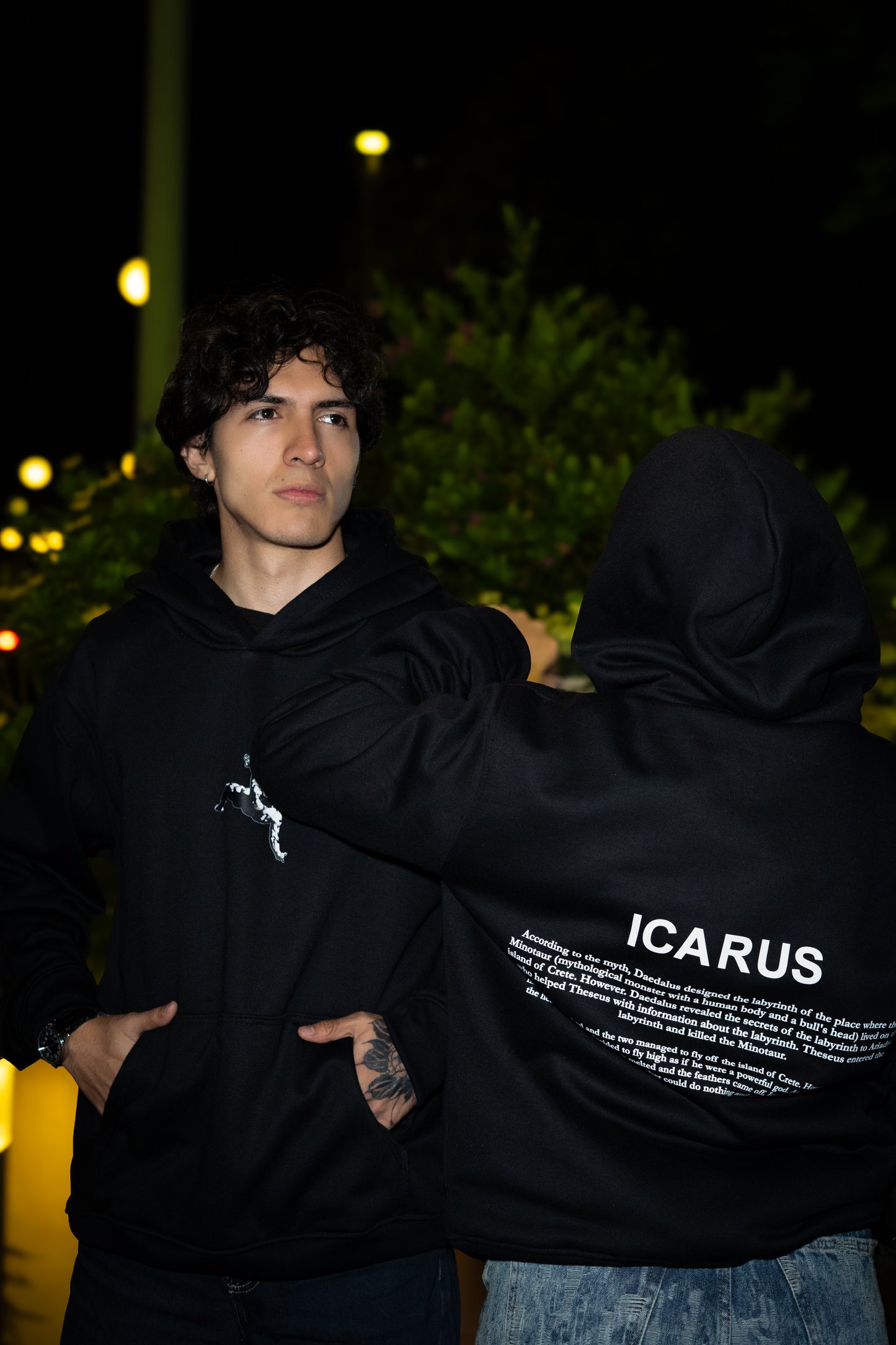ICARUS ASCENDING