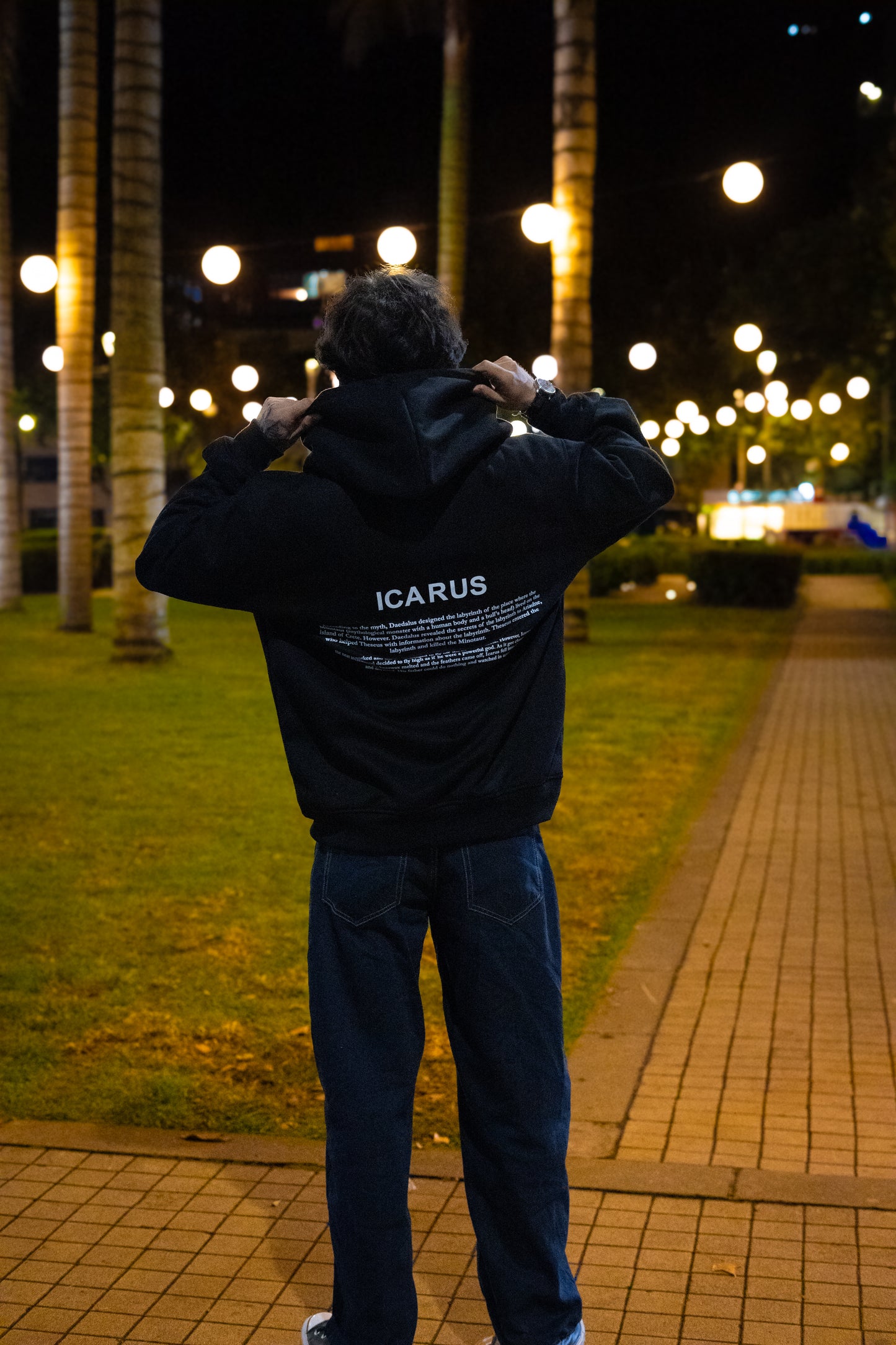 ICARUS ASCENDING