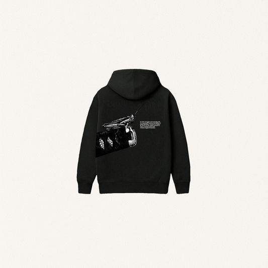 Hoodie ( Kensei, el Santo Espada )