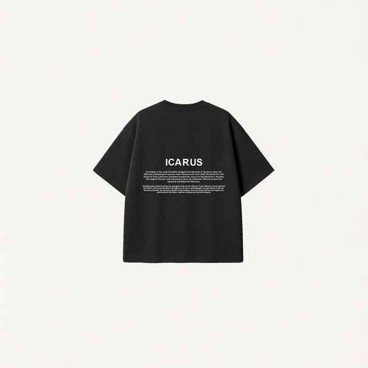 Camiseta Oversize (Icarus Ascending)