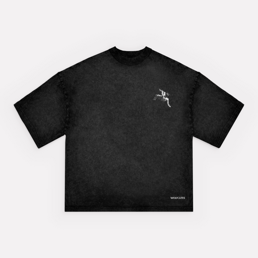 (ACID WASH) ICARUS ASCENDING