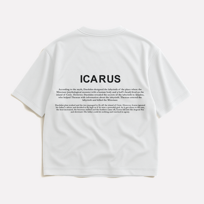 ICARUS ASCENDING