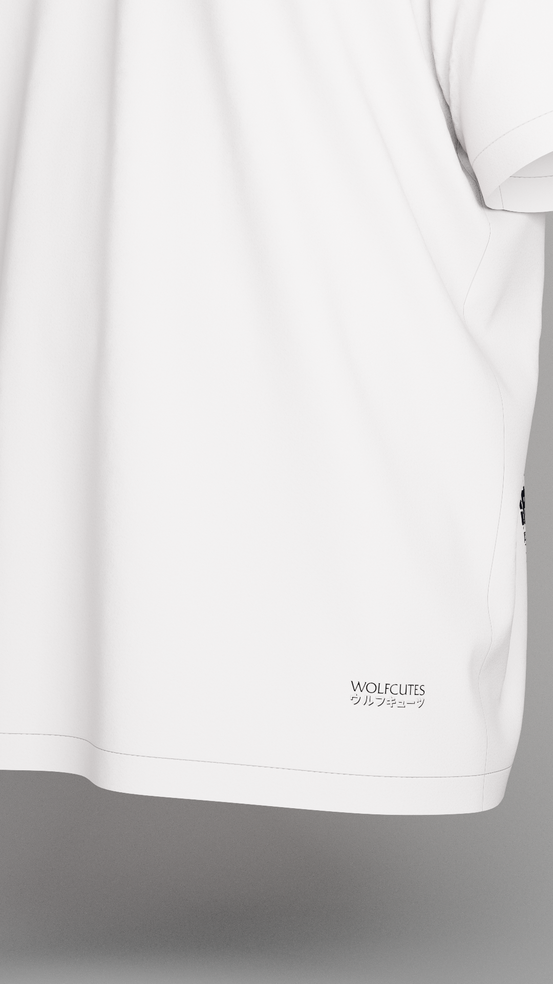 Camiseta Oversize (RAMENSIZE)